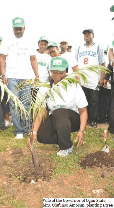Tree Planting