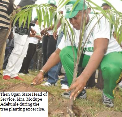 Green Awareness 2
